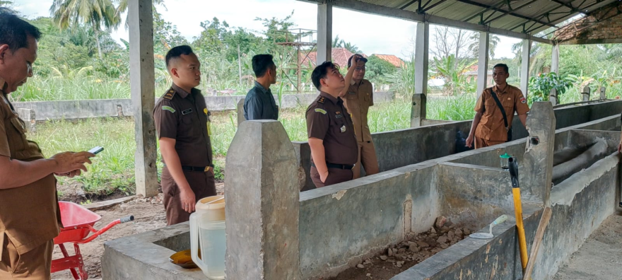 PENDAMPINGAN AWAL OLEH KAJARI terkait Penggemukan Sapi