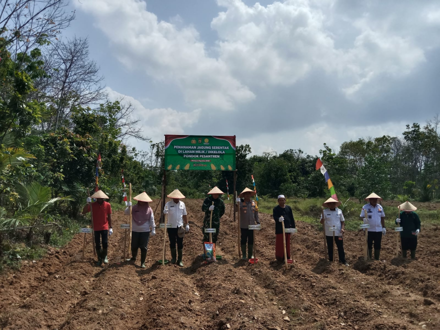 Penanaman Jagung Serentak Dilahan Milik/dikelola Pondok Pesantren