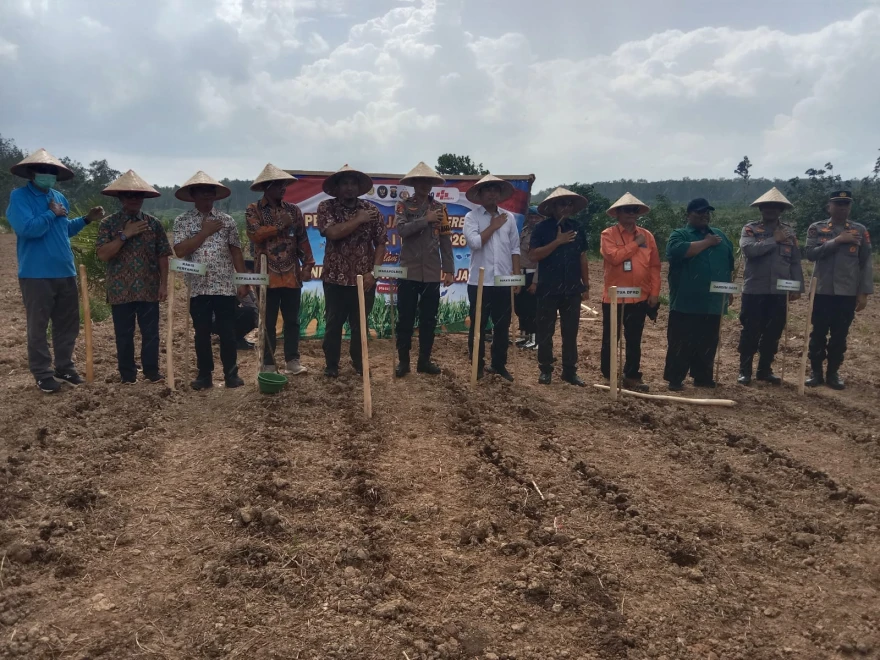 Penanaman jagung serentak KUARTIL 1 Tahun 2026 didesa Jaya Sakti